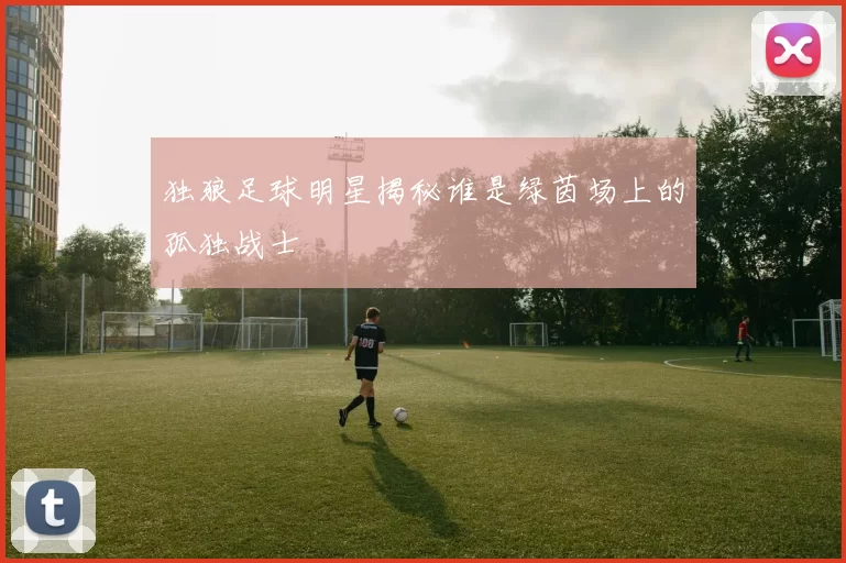独狼足球明星揭秘谁是绿茵场上的孤独战士