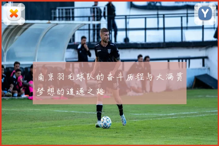 南京羽毛球队的奋斗历程与大满贯梦想的追逐之路
