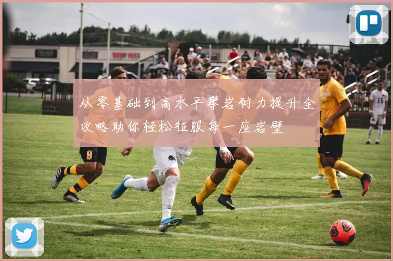 从零基础到高水平攀岩耐力提升全攻略助你轻松征服每一座岩壁