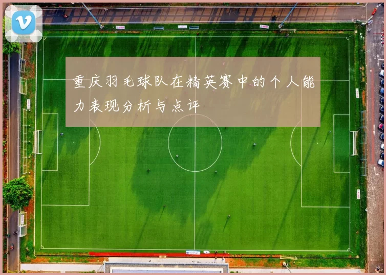 重庆羽毛球队在精英赛中的个人能力表现分析与点评