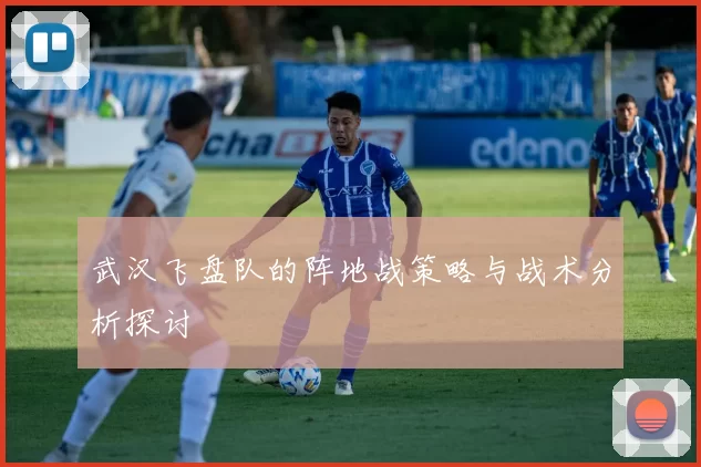 武汉飞盘队的阵地战策略与战术分析探讨