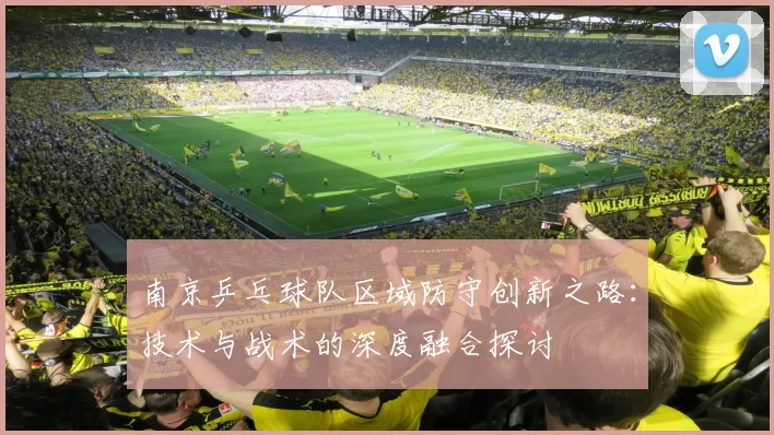 南京乒乓球队区域防守创新之路：技术与战术的深度融合探讨