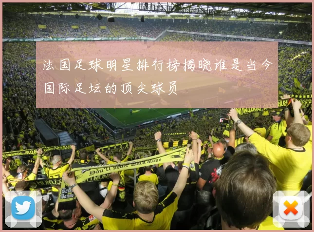 法国足球明星排行榜揭晓谁是当今国际足坛的顶尖球员