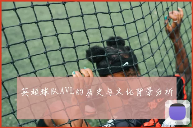 英超球队AVL的历史与文化背景分析